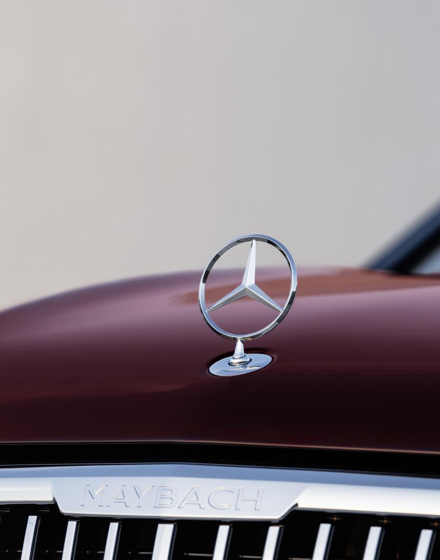 Логотип Mercedes-Maybach GLS600 4Matic (X167) 2020 года  (WW) (фото 25 из 66)